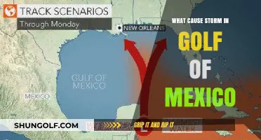 Unraveling the Factors Behind Storm Formation in the Gulf of Mexico