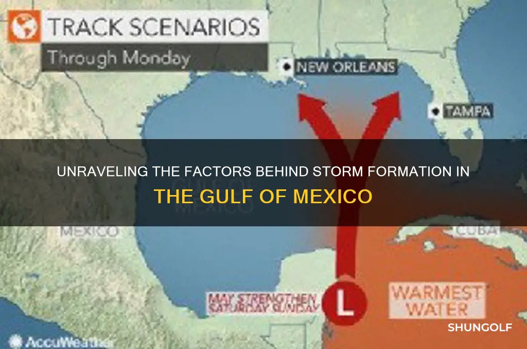 what cause storm in golf of mexico