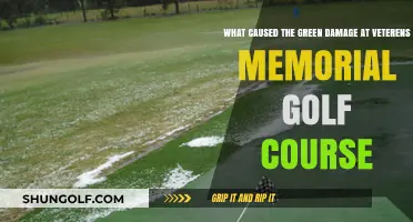 Uncovering the Mystery Behind Green Damage at Veterans Memorial Golf Course