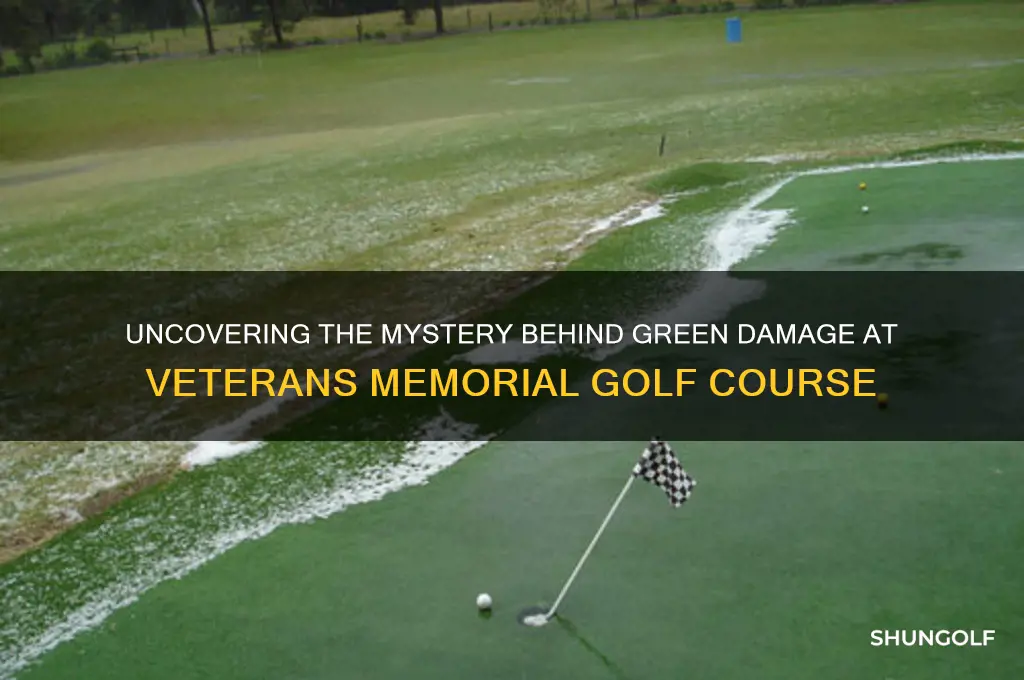 what caused the green damage at veterens memorial golf course