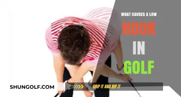 Understanding the Causes of a Low Hook in Golf