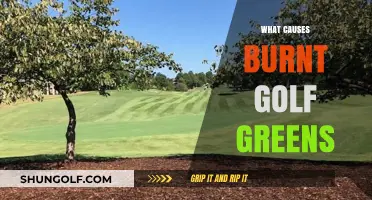 Summer's Heat: Why Golf Greens Burn