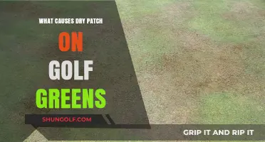 Understanding Dry Patches on Golf Greens: Causes and Solutions