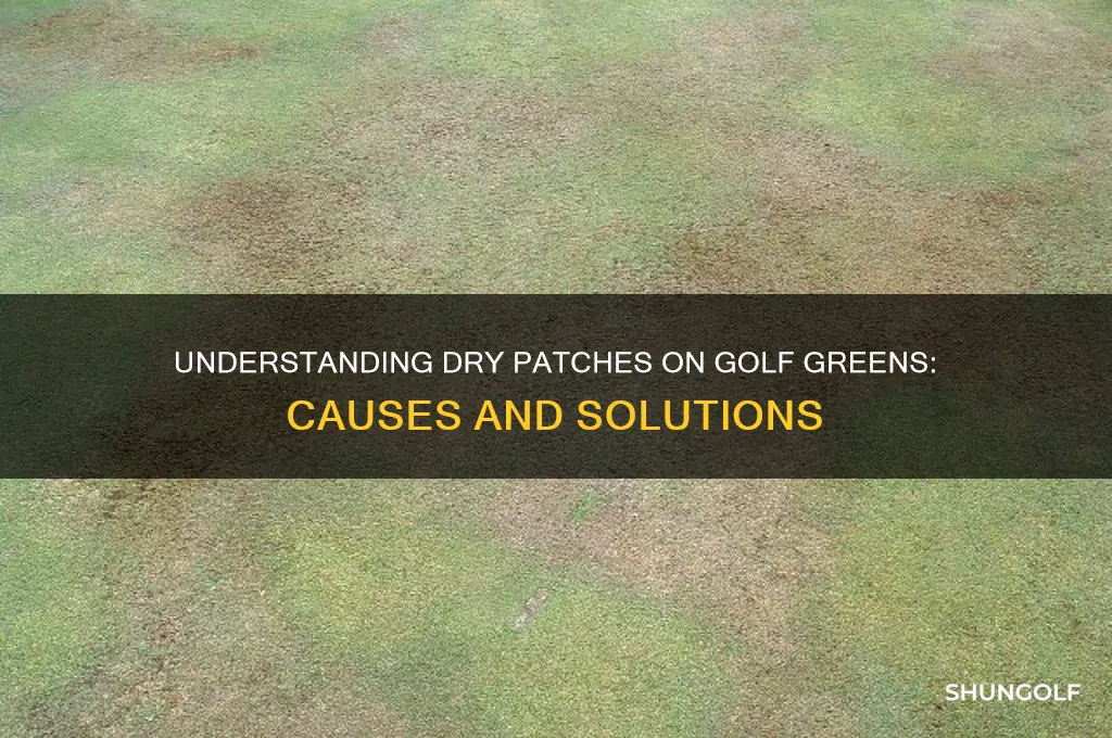 what causes dry patch on golf greens