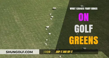 Unveiling the Mystery: What Causes Fairy Rings on Golf Greens