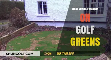 Fusarium on Golf Greens: Causes and Prevention