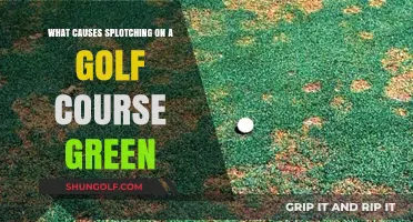 Unveiling the Culprits Behind Splotching on Golf Course Greens