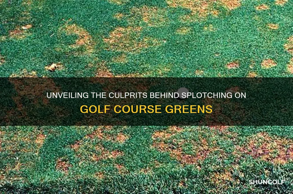 what causes splotching on a golf course green