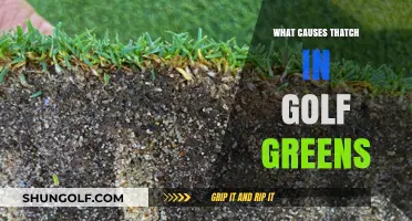 Thatch Buildup on Golf Greens: Causes and Prevention