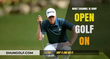 Where to Watch Sony Open Golf: Channel Guide for Fans
