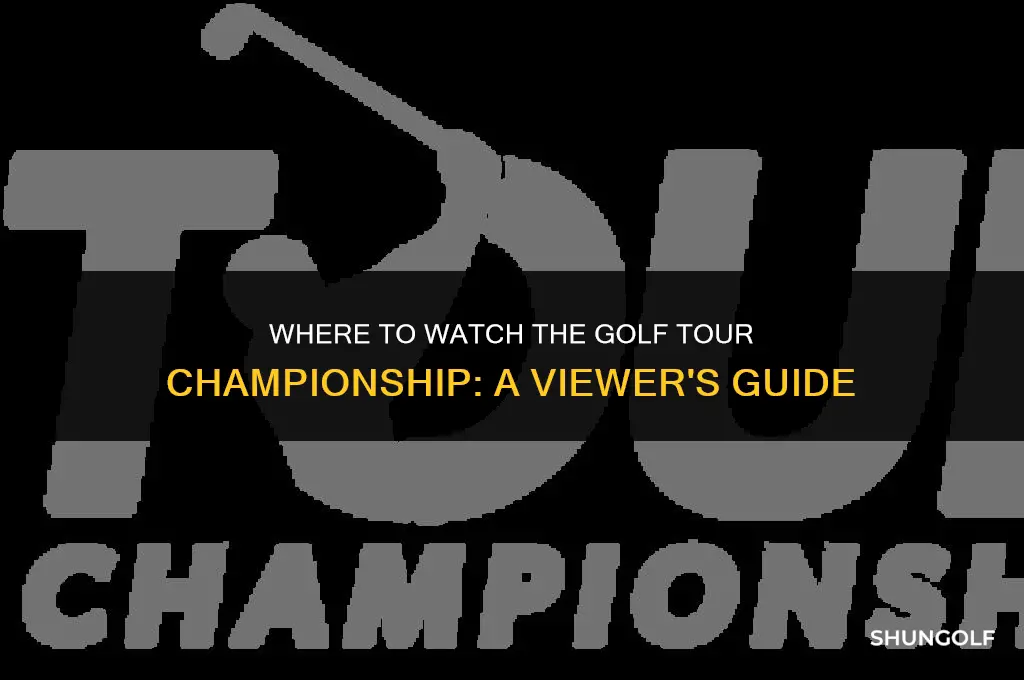 what channel is the golf tour championship on