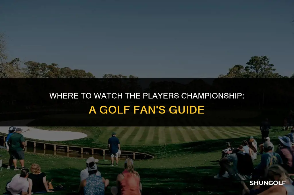what channel is the players championship golf on