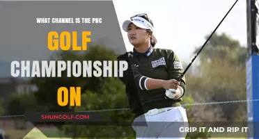 Tee Off with the PNC Golf Championship: Your Ultimate Viewing Guide