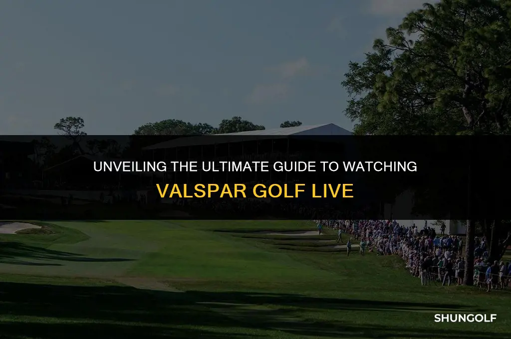 what channel is valspar golf on