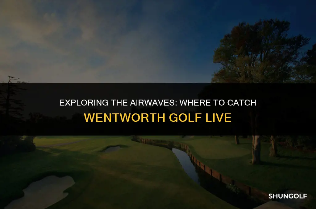 what channel is wentworth golf on