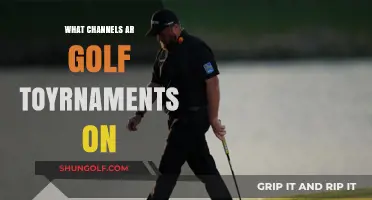 Exploring the Best TV Channels for Golf Tournaments