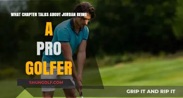 Jordan's Golf Pro Journey: Which Chapter Reveals His Rise?