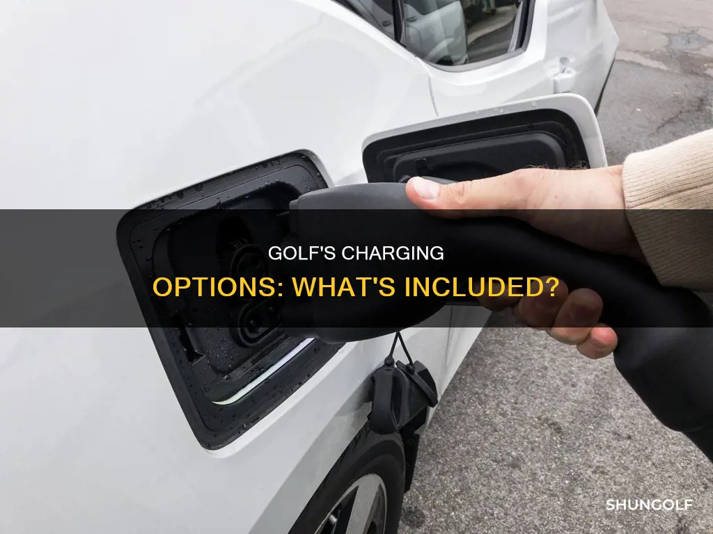 what charger comes with e golf