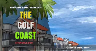 Texas Cities Opposing Gulf Coast Development: A Growing Movement