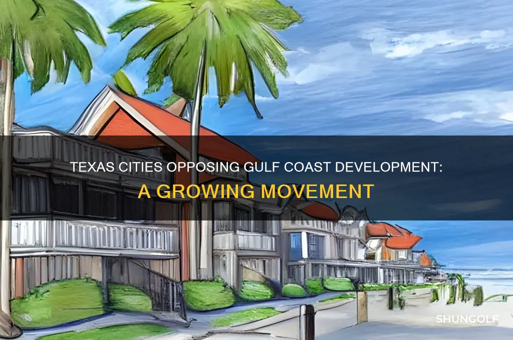 what cities in texas are against the golf coast