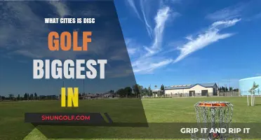 Exploring the Urban Hubs of Disc Golf Enthusiasm