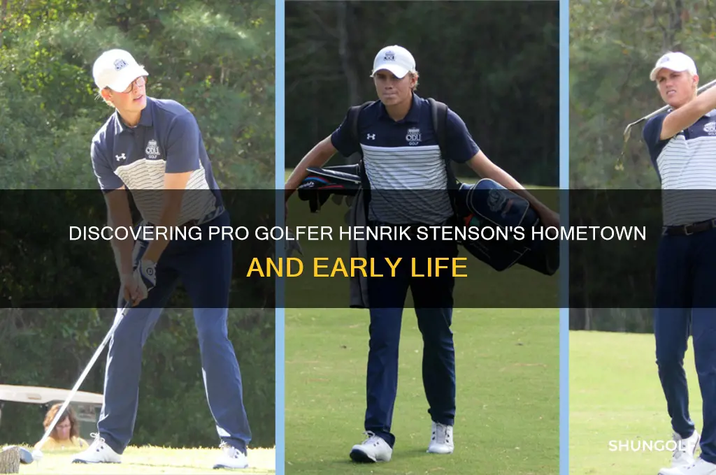 what city is pro golfer heinrick stenson from