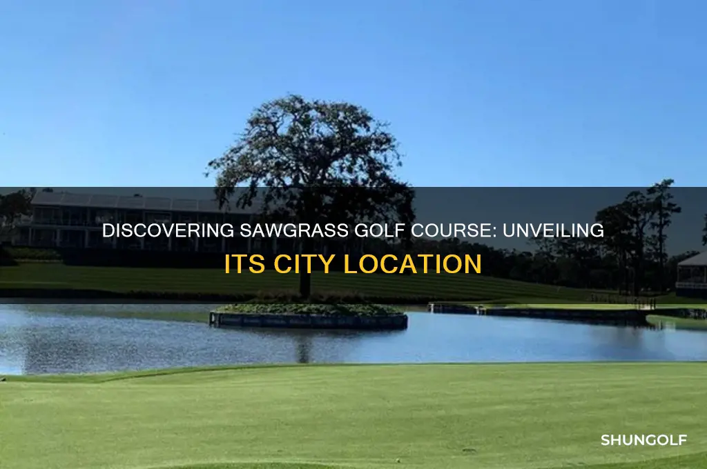 what city is sawgrass golf course in