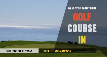 Discovering Torrey Pines Golf Course's Stunning Coastal City Location