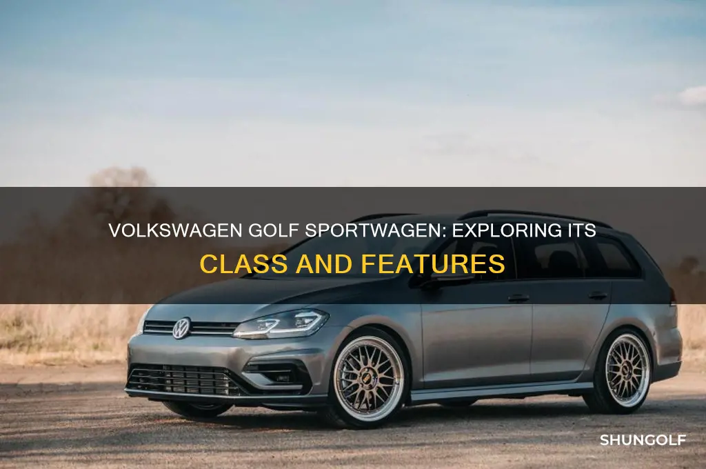 what class is a volkswagon golf sport wago