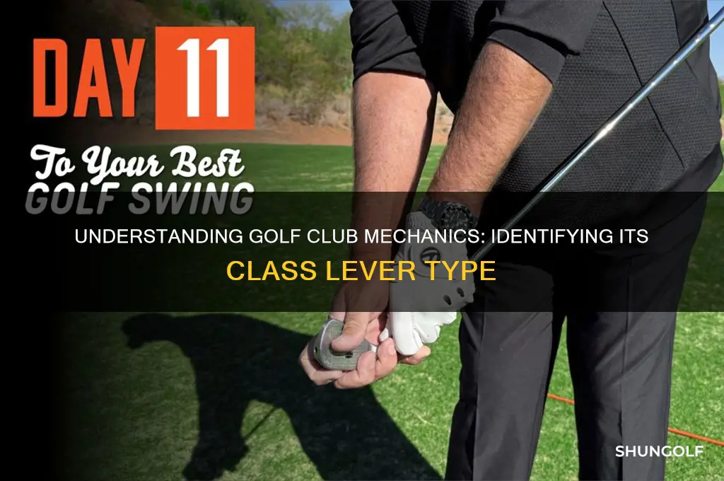 what class lever is a golf club
