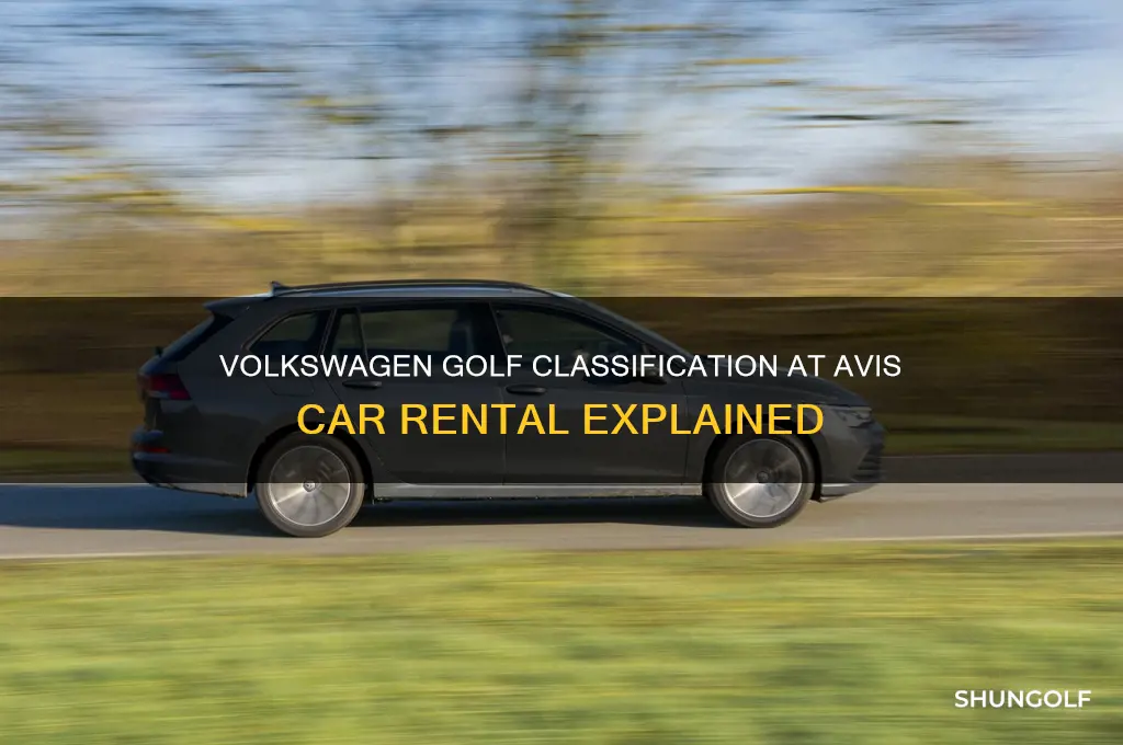 what classification is a volkswagen golf at avis car rental