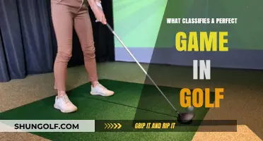 Understanding the Criteria for a Perfect Game in Golf
