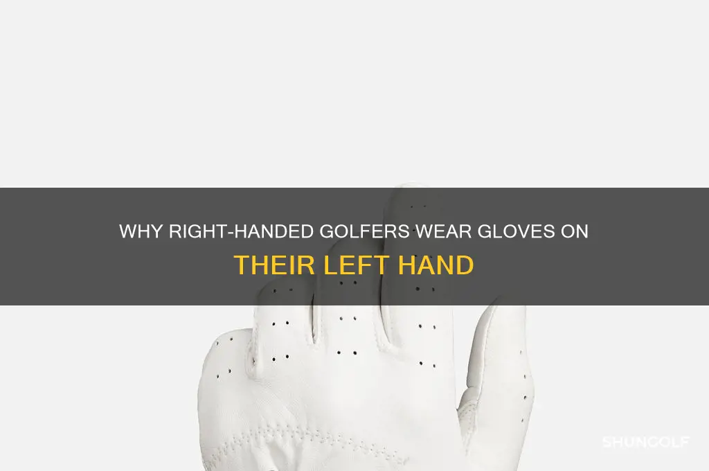 what club does right hand golfer wear glove
