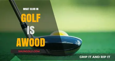 Understanding the Golf Wood Club: Uses, Types, and Selection Tips