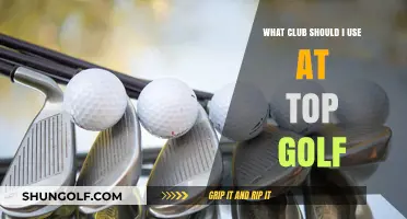 Mastering Topgolf: Choosing the Perfect Club for Every Swing