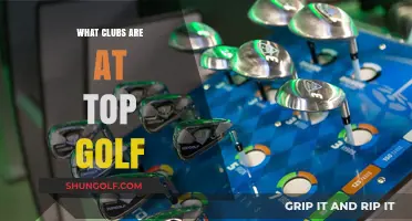 Discover the Best Clubs Available at Top Golf for Players