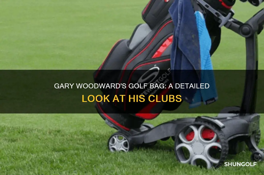 what clubs are in gary woodward
