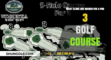 Essential Golf Clubs for Mastering Par 3 Courses Efficiently