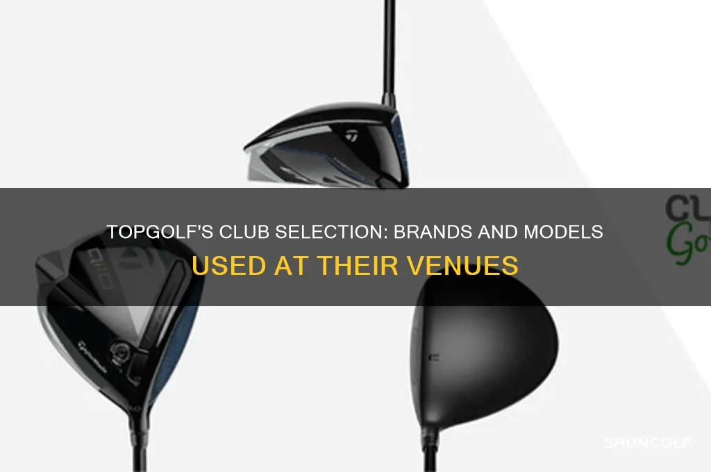 what clubs does top golf use