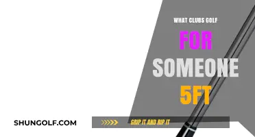 Perfect Golf Clubs for Shorter Players: 5ft Height Guide