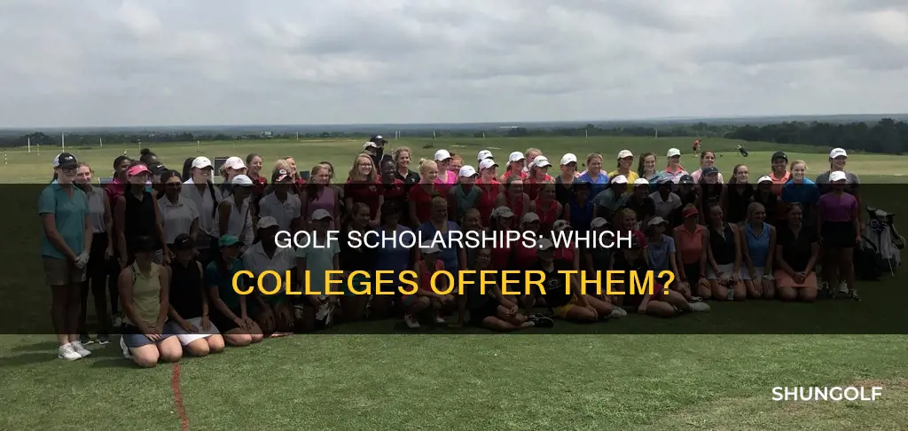 what colleges give golf scholarships