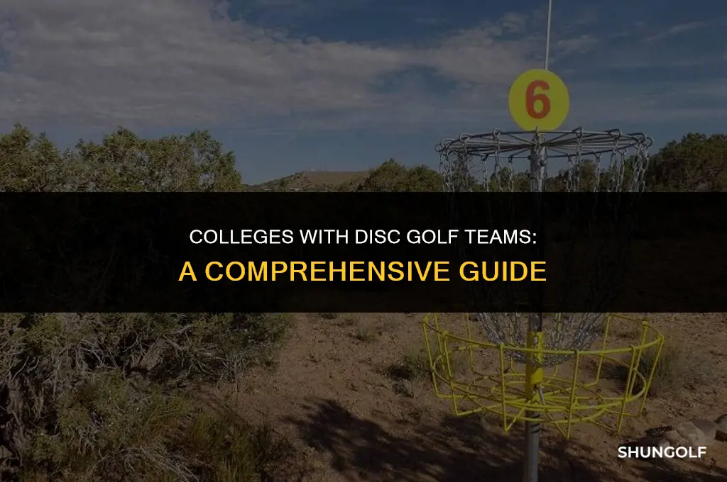 what colleges have disc golf teams