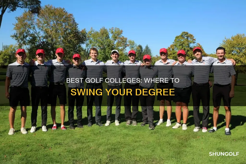 what colleges have golf teams