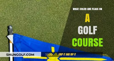 Understanding Golf Course Flag Colors: Meanings and Uses Explained