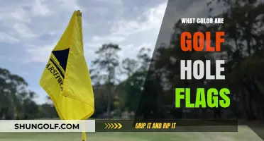 Unveiling the Standard Colors of Golf Hole Flags and Their Meanings