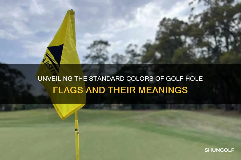 what color are golf hole flags
