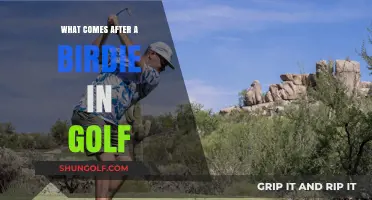 Beyond the Birdie: Golf's Scoring Hierarchy Explained Simply