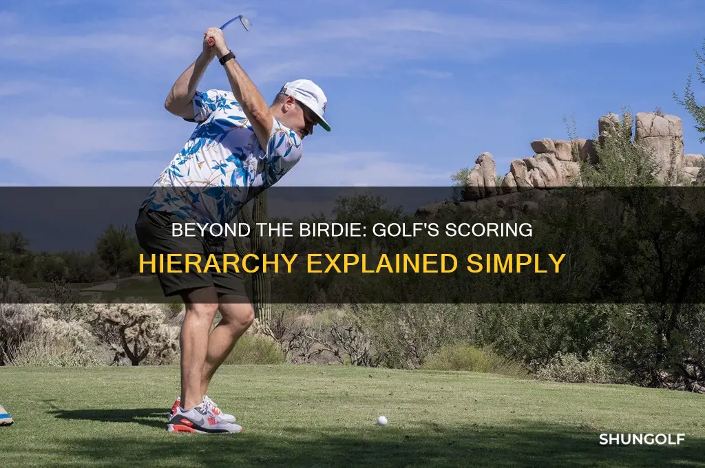 what comes after a birdie in golf