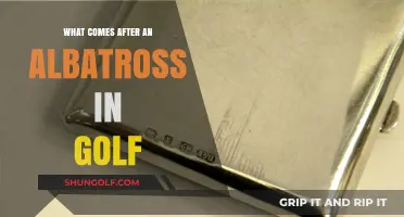 Beyond Albatross: Exploring Golf's Rarest and Most Prestigious Scores