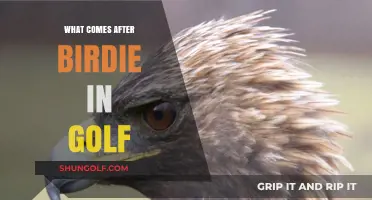 Golf Scores: Birdie and Beyond